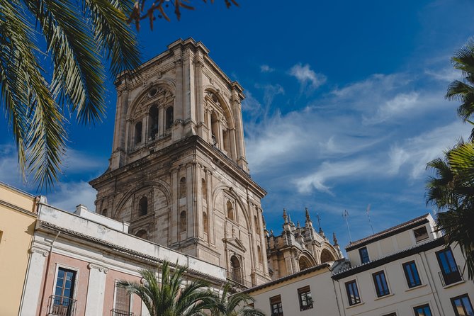 Alhambra and Granada City Center Sightseeing Tour! - Discovering the City Center