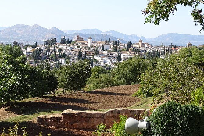 Alhambra and Nasrid Private Walking Tour With Food Tasting - Booking Details and Considerations