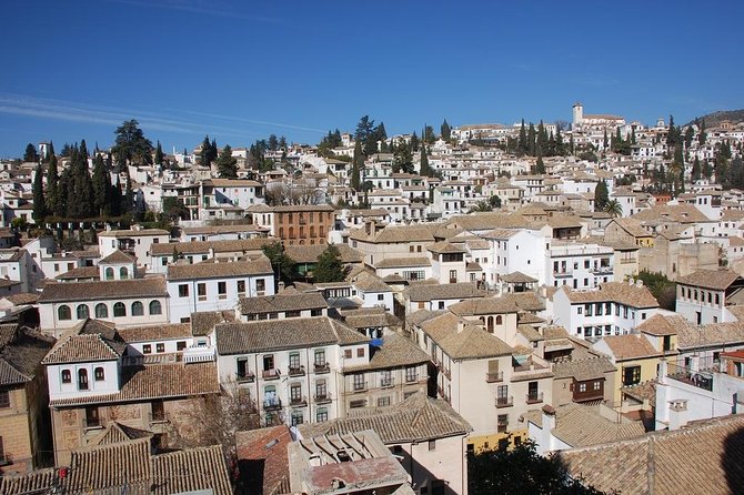 Alhambra & City Pass Card - Accessibility and Group Size