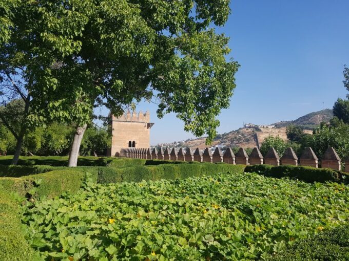 Alhambra: Generalife Gardens & Alcazaba Fast-Track Tour - Visitor Tips and Policies