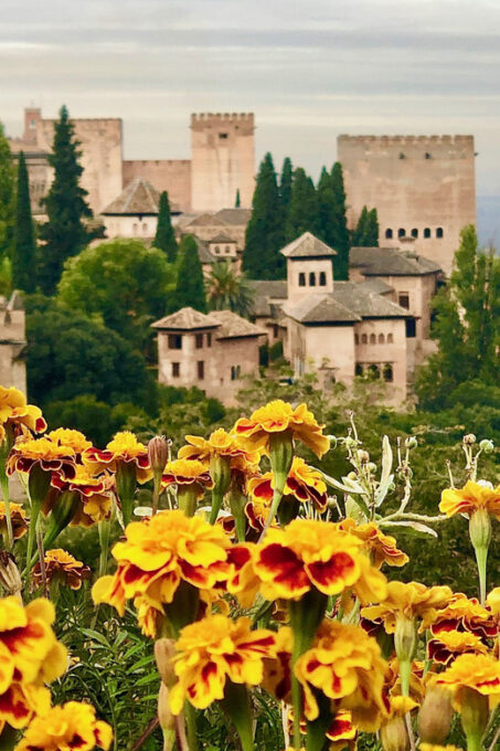 Alhambra: Guided Tour With Fast-Track Entry - Itinerary and Modifications