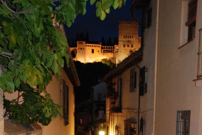 Alhambra: Night Visit to Nasrid Palaces - Exploring the Nasrid Palaces