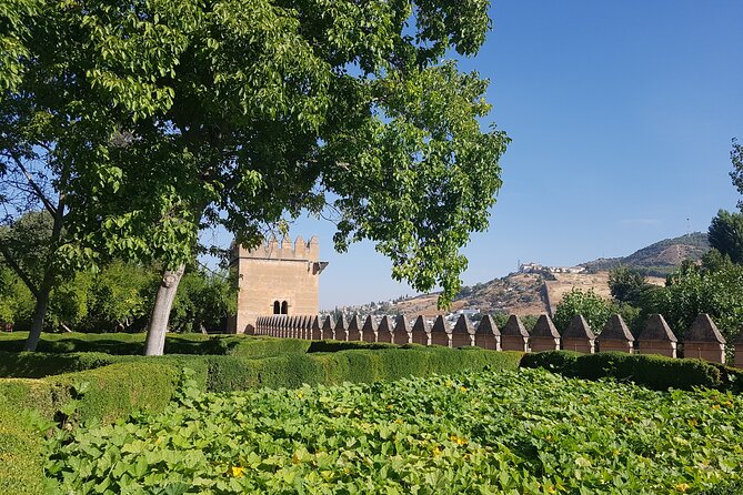 Alhambra Private Guide, (If You Have Your Alhambra Entrance) - Alhambra Guided Tour Considerations