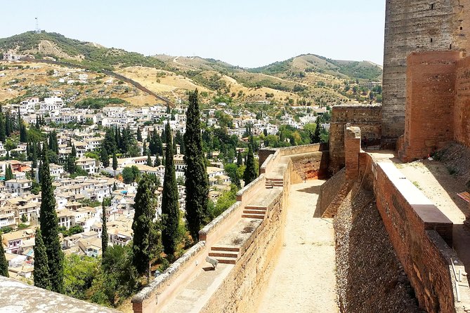 Alhambra Private Tour From Costa Del Sol - Accessibility and Requirements
