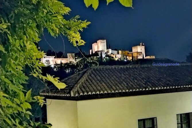Alhambra Private Tour: Nasrid Palaces and Generalife - Traveler Feedback: Positive Reviews