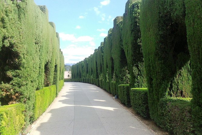 Alhambra Privilege ...a 5* Experience - Immersive Exploration of Iconic Palaces