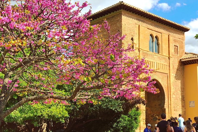 Alhambra Semi-Private Tour With Skip-The-Line-Tickets - Meeting Point and Accessibility