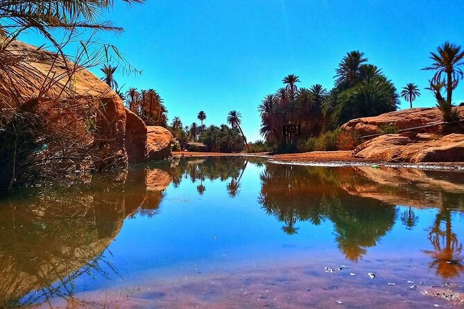 Ali Baba Oasis And The Old Medina Of Taroudant Private Day Tour - Itinerary Highlights