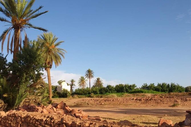 Ali Baba Oasis And The Old Medina Of Taroudant Private Day Tour - Booking Information
