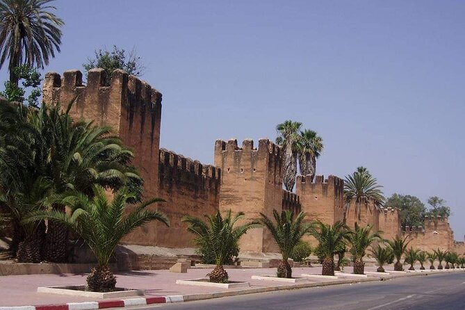 Ali Baba Oasis And The Old Medina Of Taroudant Private Day Tour - Exploring Tiout Oasis