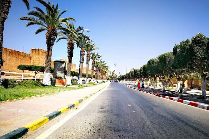 Ali Baba Oasis And The Old Medina Of Taroudant Private Day Tour - Cultural Insights