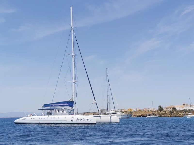 Alicante: 6-Hour Catamaran Cruise to Tabarca Island - Logistics and Availability