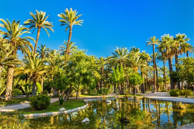 Alicante: Calas & Beaches Snorkeling With E - Bikes - Inquiries and Support