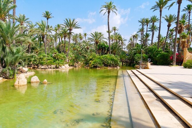 Alicante: Calas & Beaches Snorkeling With E - Bikes - Tour Reviews