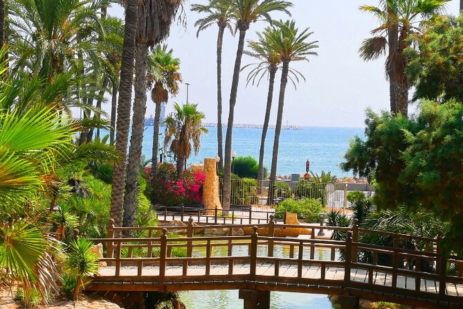 Alicante: Calas & Beaches Snorkeling With E - Bikes - Tour Highlights