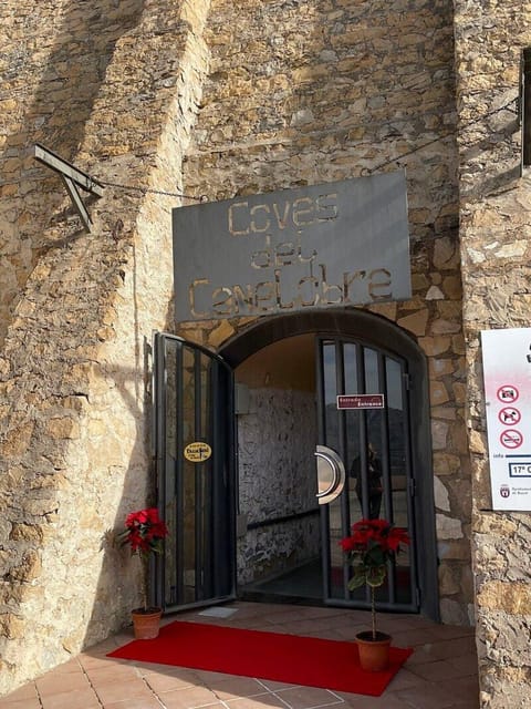 Alicante: Canelobre Caves & Busot Tour Including Transfer - Practical Tips and Recommendations