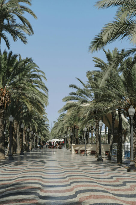 Alicante: City and El Palmeral Tour on City Bike - Discovering El Palmeral Park