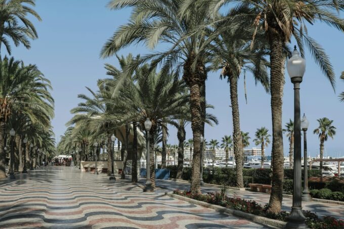 Alicante: City and El Palmeral Tour on City Bike - Engaging With the Mediterranean