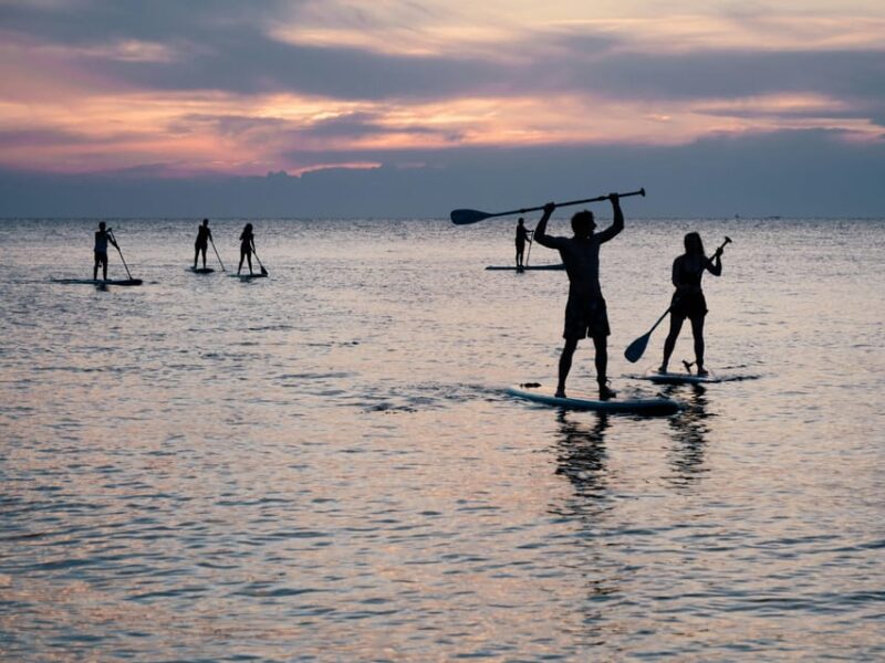 Alicante: City Bike Tour and SUP Board Rental - Experience and Perspective