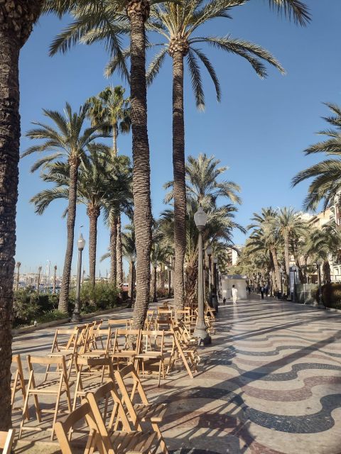 Alicante: City Highlights Walking Tour With Drinks - Key Points