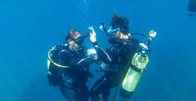 Alicante: Denia Beginners Scuba Diving Experience - Highlights of the Dive