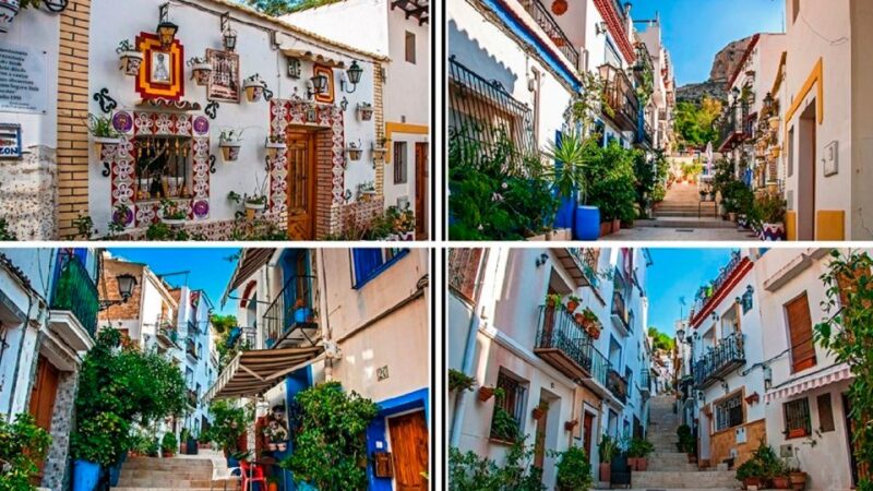 Alicante: E-Bike & Walk, Old Town Santacruz, Basilica - Tour Inclusions