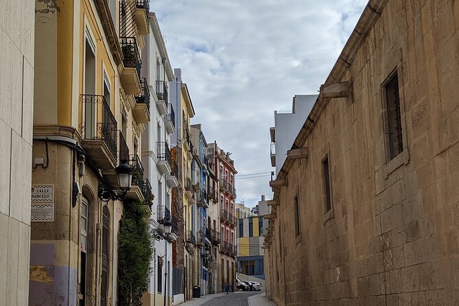 Alicante & Elche. Transport, Guide and Monuments. - Guided Tour Highlights