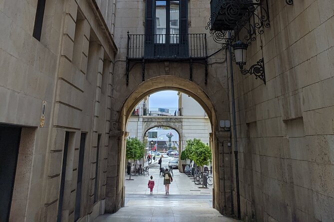 Alicante & Elche. Transport, Guide and Monuments. - Cancellation Policy