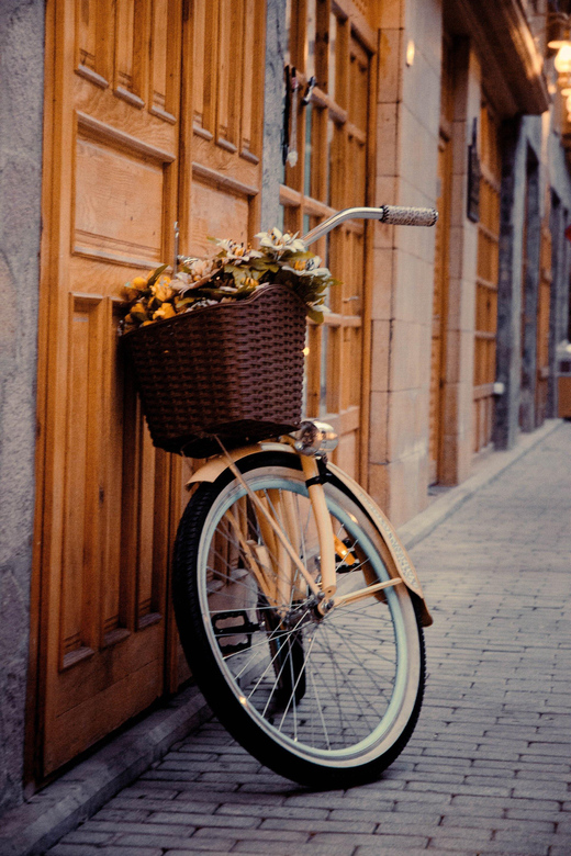 Alicante: Full Day City Bike Rental. - Experience Highlights