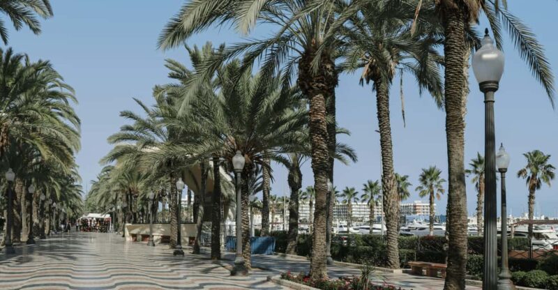 Alicante Highlights Tour: Discover Spain's Coastal Treasure - Key Points