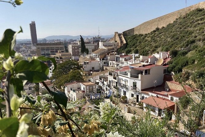 Alicante Historic Small Group Tour With Tapas Tasting - Inclusions