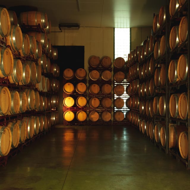 Alicante (Pinoso): Tour Experience Back From the Vineyard to the Glass - Key Points