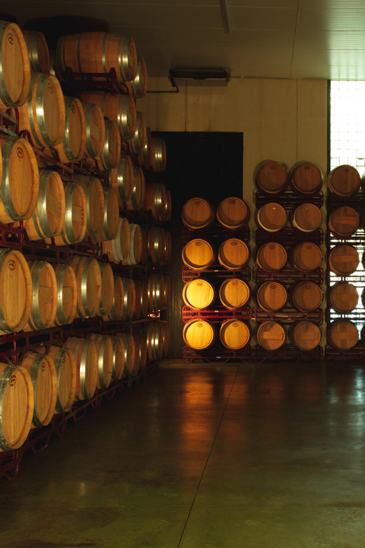 Alicante (Pinoso): Tour Experience Back From the Vineyard to the Glass - Accessibility and Languages
