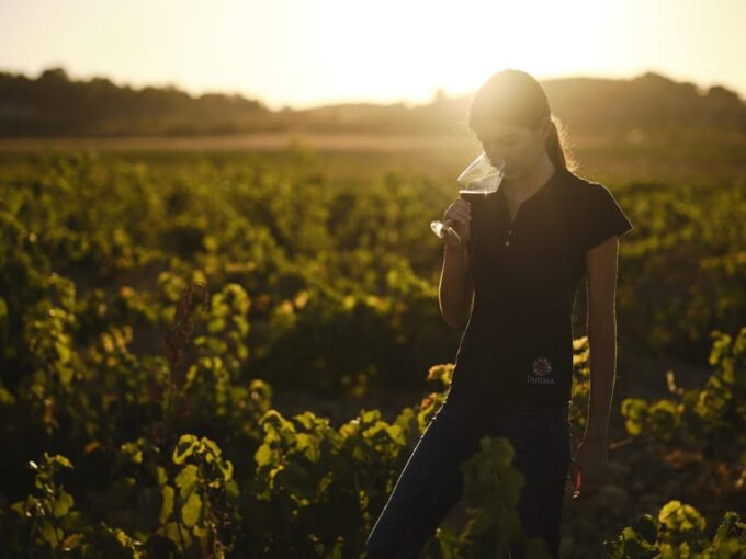 Alicante (Pinoso): Tour Experience Back From the Vineyard to the Glass - Frequently Asked Questions