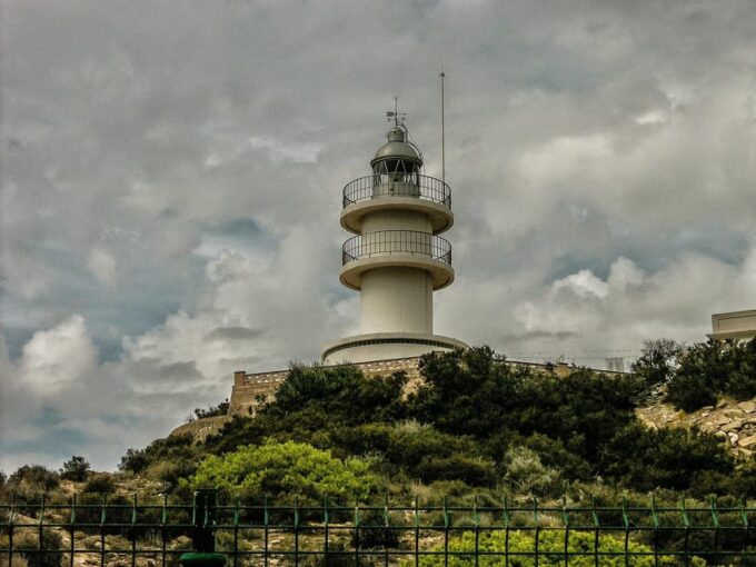 Alicante Private Guided City Tour - Languages and Accessibility