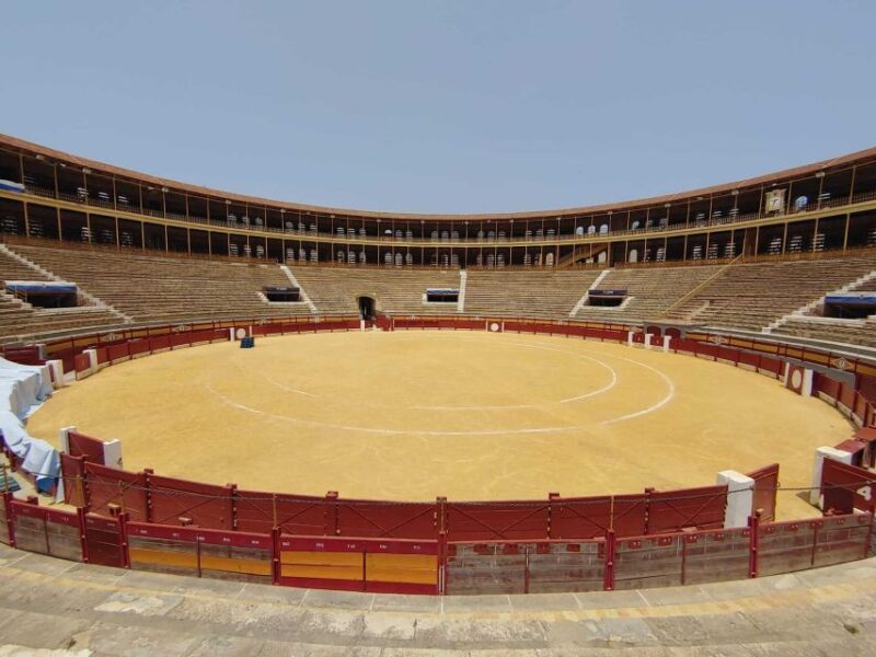 Alicante: Private Guided Visit to Alicante Bullring & Museum - Experience Highlights