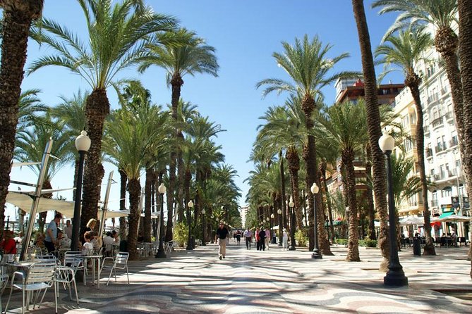 Alicante Private Walking Tour - Inclusions and Accessibility