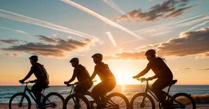 Alicante: Spot the Mediterranean Beaches & Coves by E-Bike - Key Points