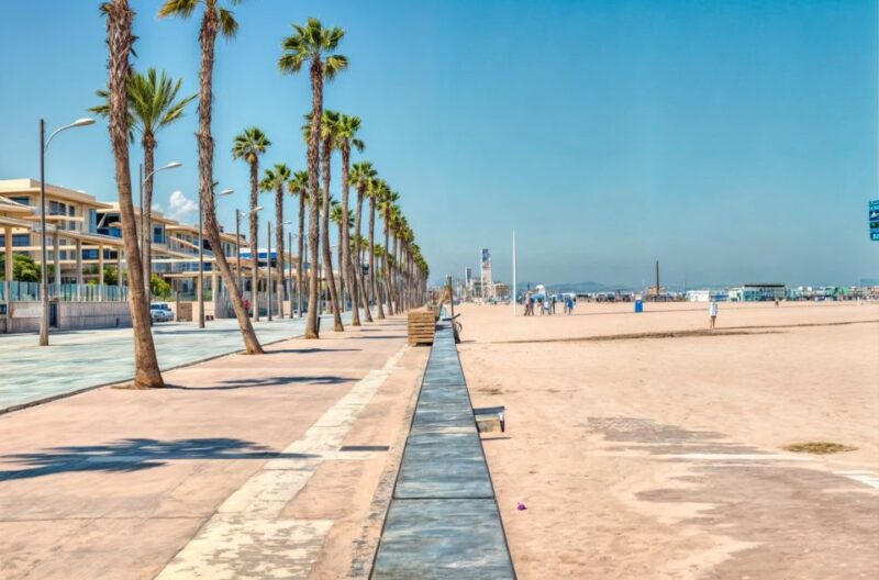 Alicante: Spot the Mediterranean Beaches & Coves by E-Bike - Inclusions and Exclusions