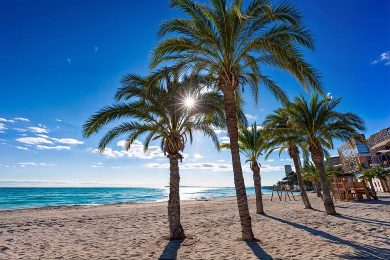 Alicante: Spot the Mediterranean by E-bike - Key Highlights