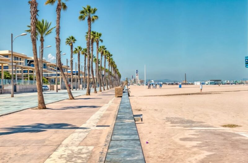 Alicante: Spot the Mediterranean by E-bike - Participant Requirements