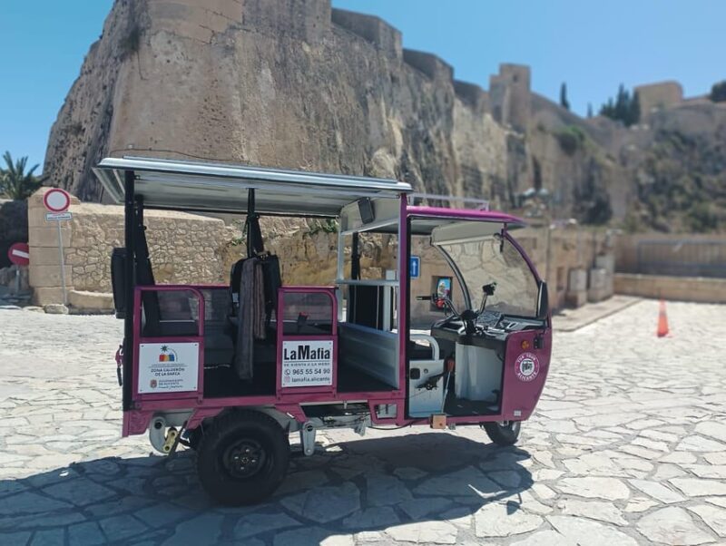 Alicante: Tuk Tuk Tour Electric 60 Minutes Electric - Participant Restrictions