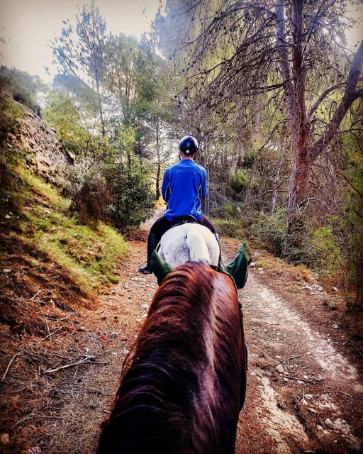 Alicante: Villajoyosa 2-hour Horseback Riding Tour - Key Points