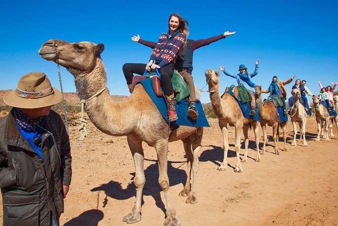 Alice Springs Camel Tour - Scenic Backdrops