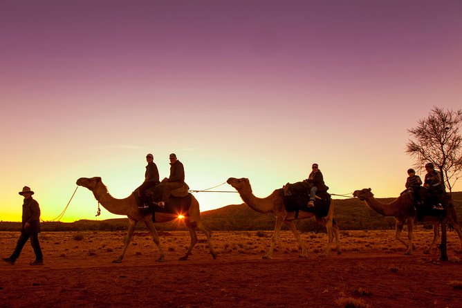 Alice Springs Camel Tour - Meeting and Pickup Options