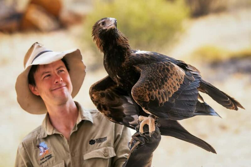 Alice Springs: Desert Park Entry Ticket - An In-Depth Look at Alice Springs Desert Park