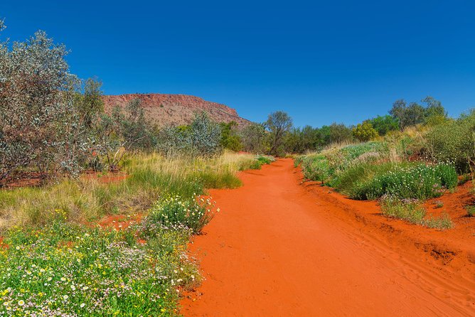 Alice Springs Desert Park General Entry Ticket - Native Wildlife Experiences