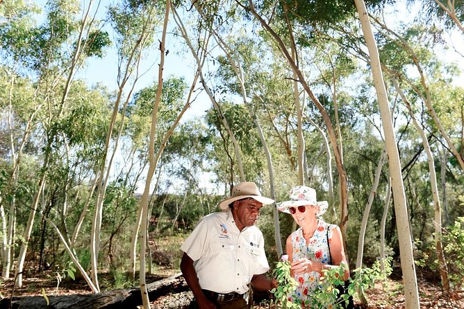 Alice Springs Desert Park General Entry Ticket - Aboriginal Arrernte Dreamtime Stories