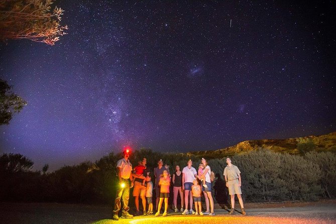 Alice Springs Desert Park Nocturnal Tour - Guided Nighttime Walk