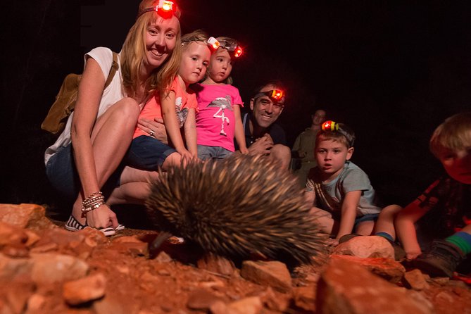 Alice Springs Desert Park Nocturnal Tour - Mulga Walk Exploration